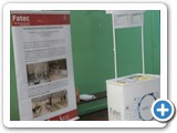 foto7