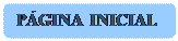 Ret�ngulo de cantos arredondados: P�GINA INICIAL